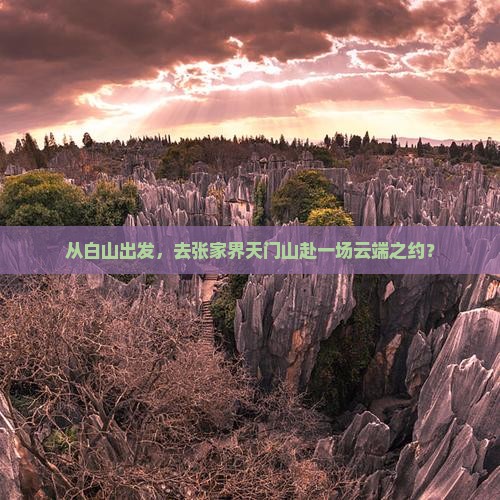 白山去张家界天门山景点
