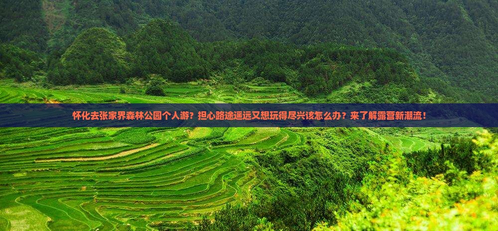 怀化去张家界森林公园个人游