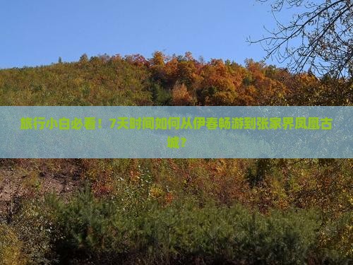 伊春到张家界凤凰古城七日游