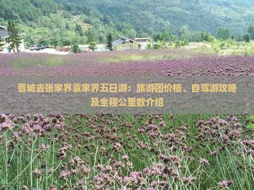 晋城去张家界袁家界五日游