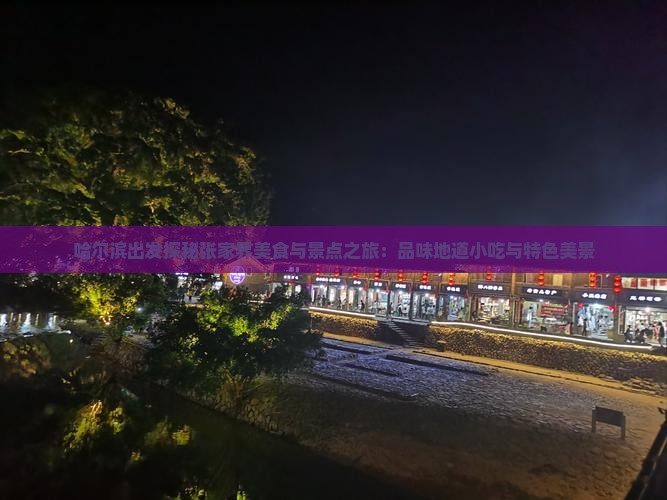 哈尔滨到张家界旅游小吃