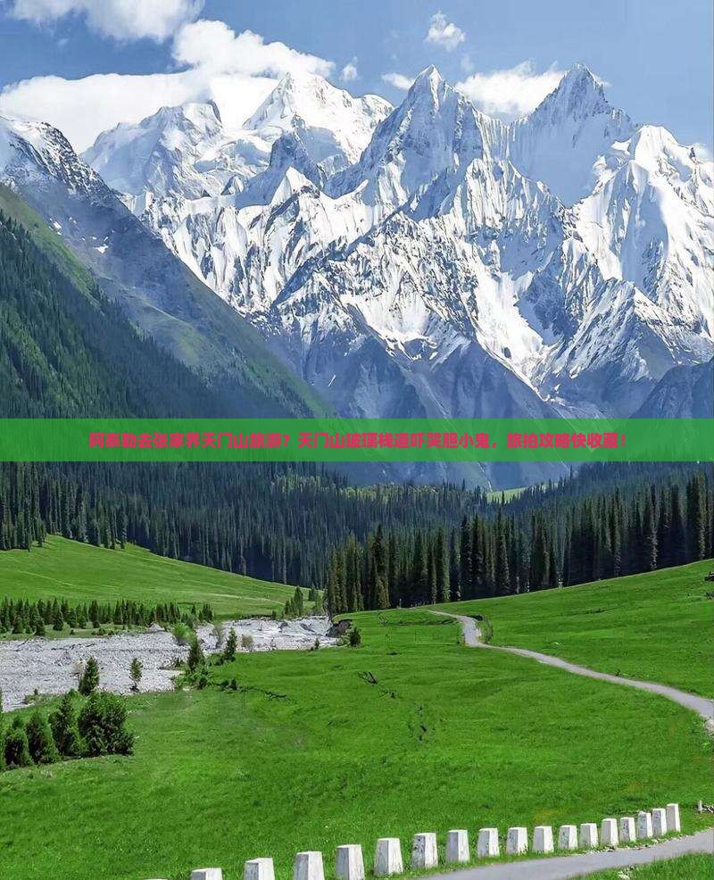 阿泰勒去张家界天门山旅游