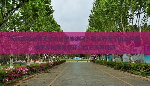 天水去张家界天子山大型旅游团