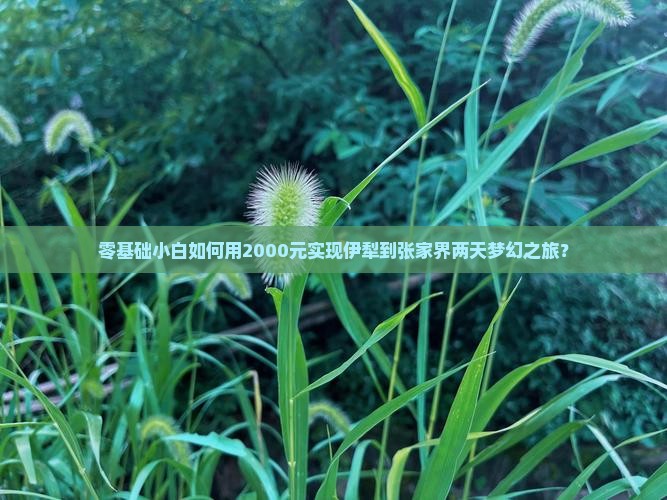 伊犁哈萨克到张家界二日游