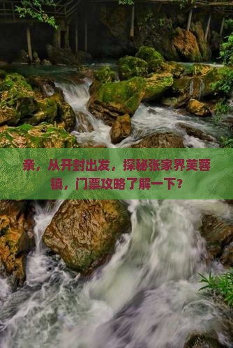 开封到张家界芙蓉镇门票