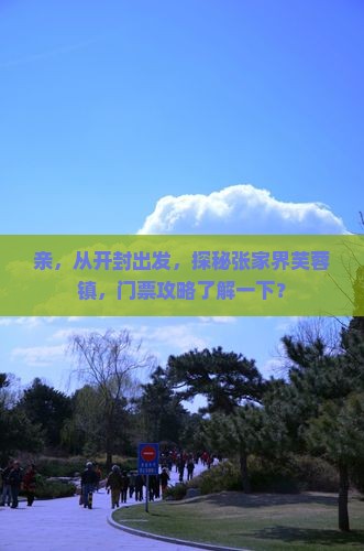 开封到张家界芙蓉镇门票