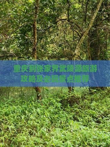 重庆到张家界武陵源攻略