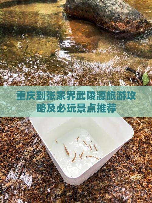 重庆到张家界武陵源攻略