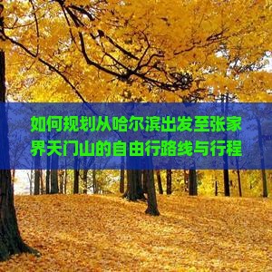 哈尔滨去张家界天门山自由行