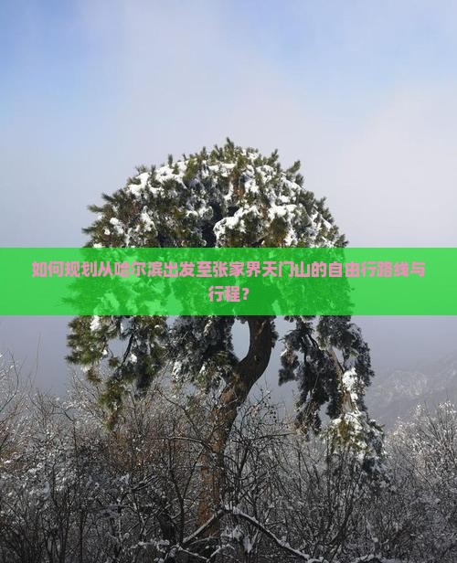 哈尔滨去张家界天门山自由行