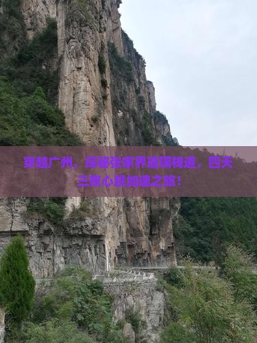 广州到张家界玻璃栈道四日游