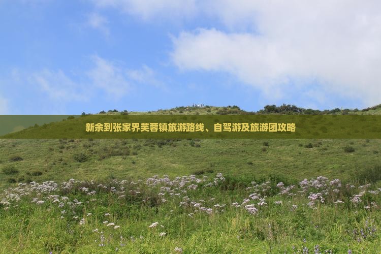 新余到张家界芙蓉镇旅游