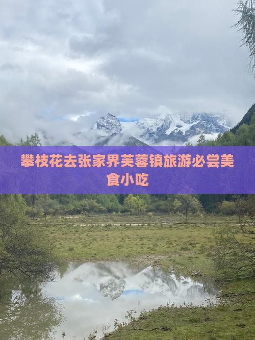 攀枝花去张家界芙蓉镇旅游小吃