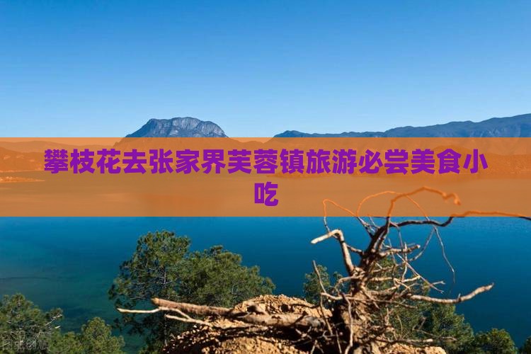 攀枝花去张家界芙蓉镇旅游小吃