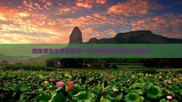 阳泉去张家界芙蓉镇一日