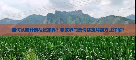 喀什去张家界门票