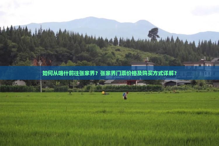 喀什去张家界门票