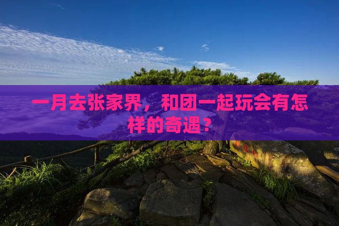 一月到张家界团体旅游