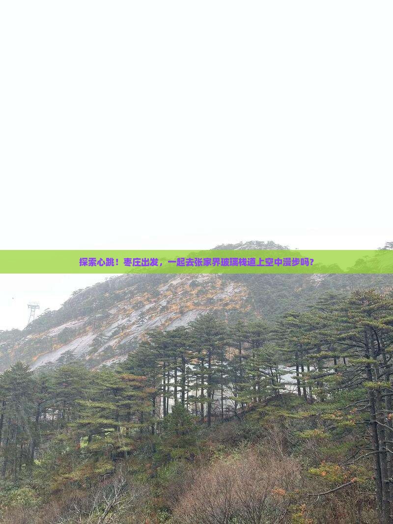 枣庄到张家界玻璃栈道必去地