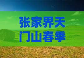 春天到张家界天门山二日游 春天到张家界天门山二日游