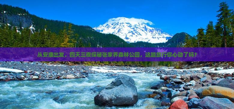安康到张家界森林公园四日游