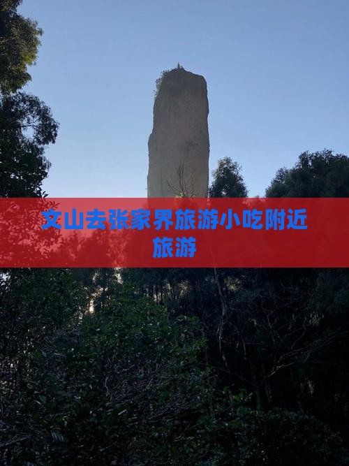 文山去张家界旅游小吃
