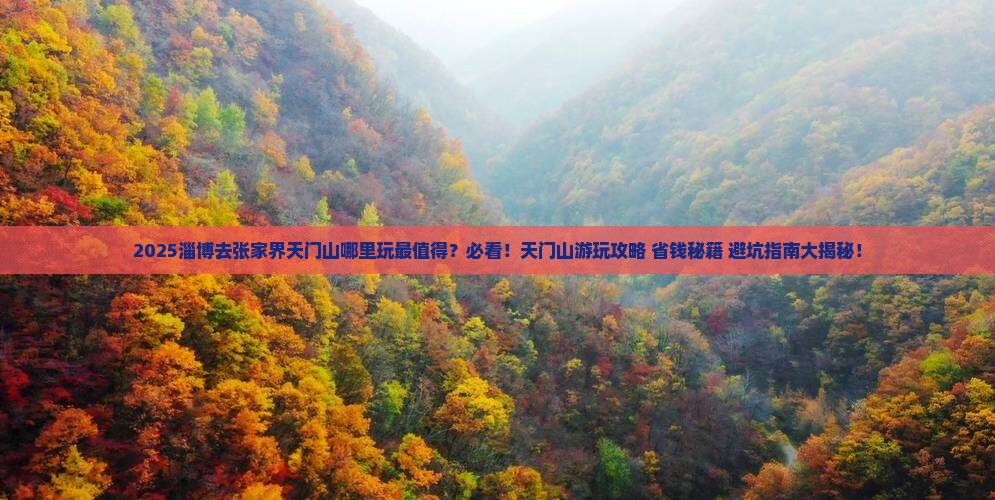 淄博去张家界天门山哪里玩