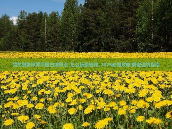 韶关到张家界凤凰古城景点