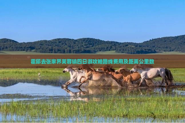 霍邱去张家界芙蓉镇四日游