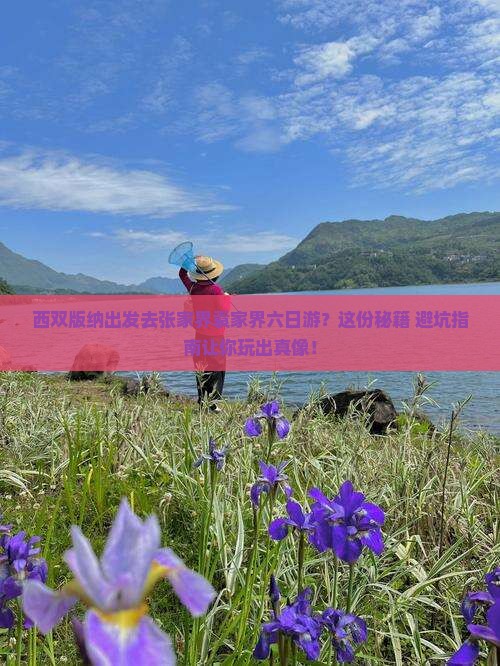 西双版纳去张家界袁家界六日游