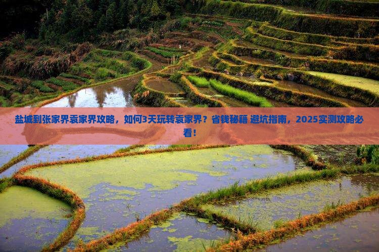 盐城到张家界袁家界攻略