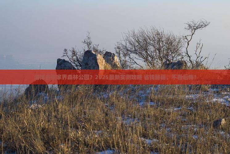 淄博去张家界森林公园旅行社