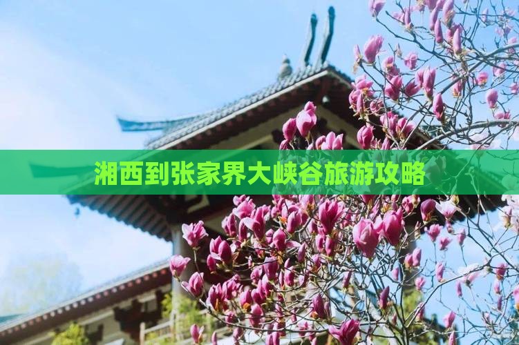 湘西到张家界大峡谷攻略