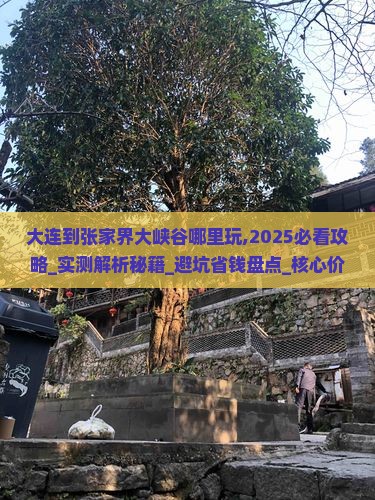 大连到张家界大峡谷哪里玩