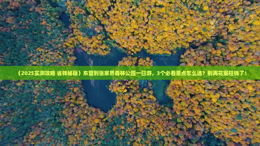 东营到张家界森林公园一日