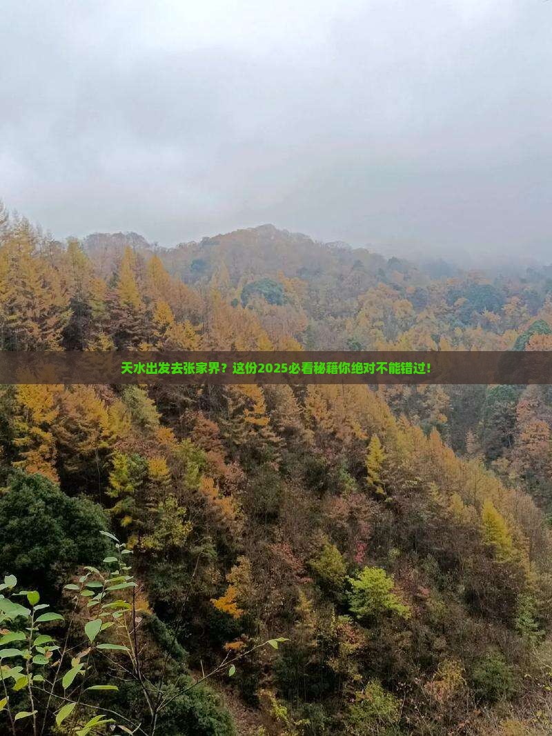天水去张家界森林公园旅游