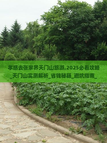 孝感去张家界天门山旅游