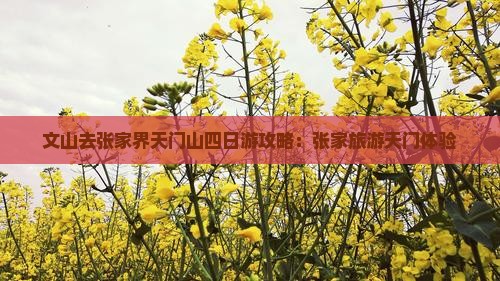 文山去张家界天门山四日游