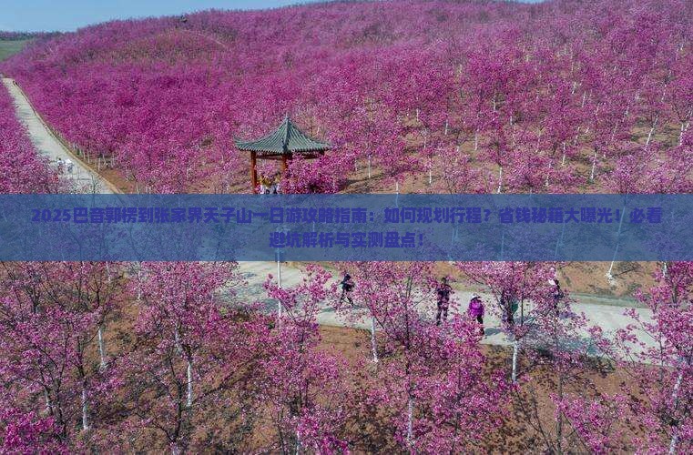 巴音郭楞到张家界天子山一日