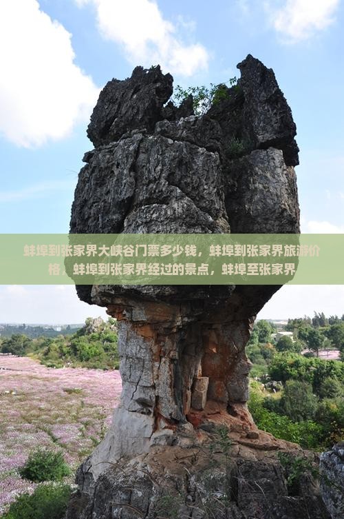 蚌埠到张家界大峡谷门票