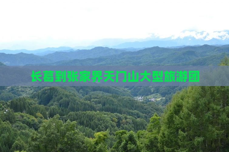 长葛到张家界天门山大型旅游团