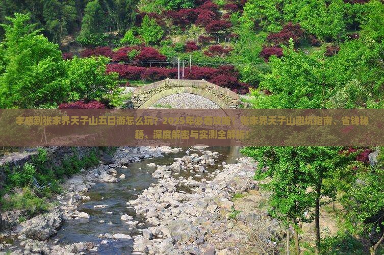 孝感到张家界天子山五日游