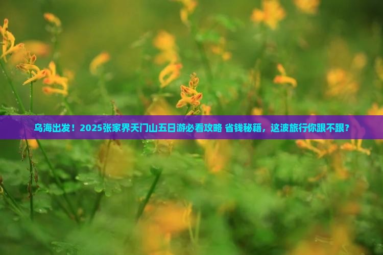 乌海市去张家界天门山五日游