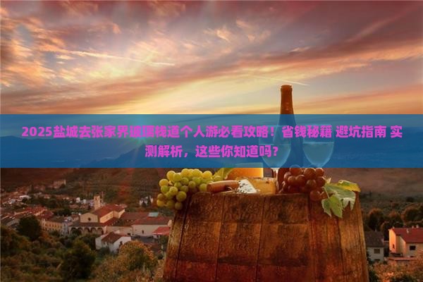 盐城去张家界玻璃栈道个人游