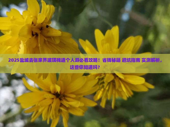盐城去张家界玻璃栈道个人游