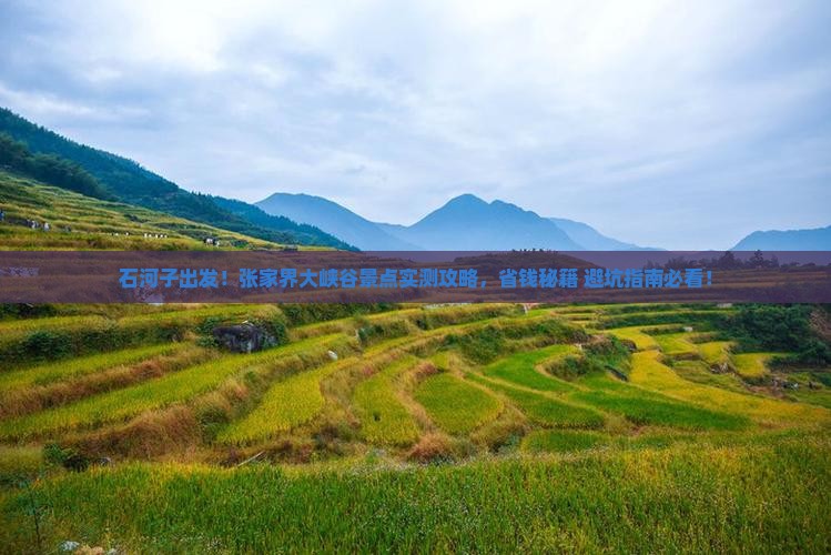 石河子到张家界大峡谷景点