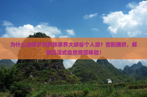 泸州到张家界大峡谷个人游