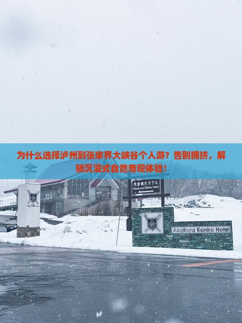 泸州到张家界大峡谷个人游