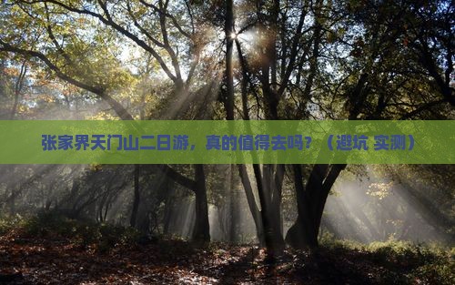 来宾去张家界天门山二日游