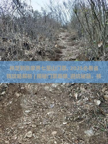 林芝到张家界七星山门票